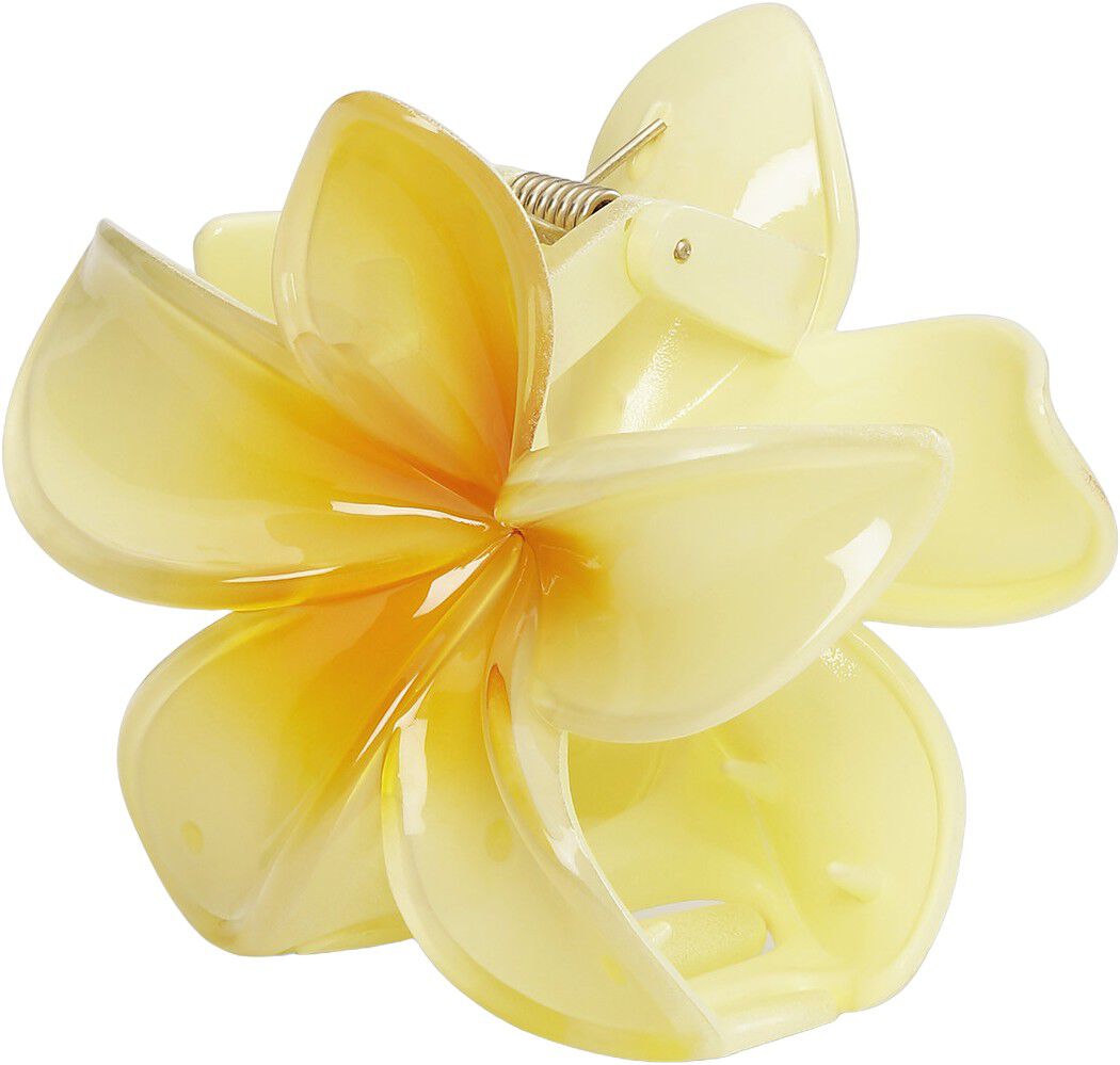 Plumeria Bisou Big