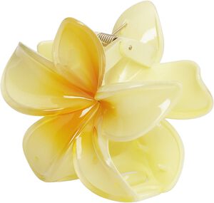 Plumeria Bisou Big