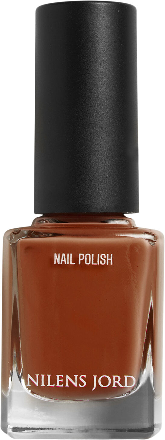 Nail Polish Burnt Orange