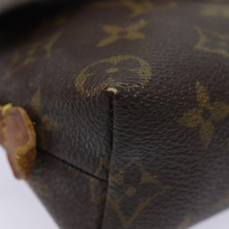 Louis Vuitton Pouch