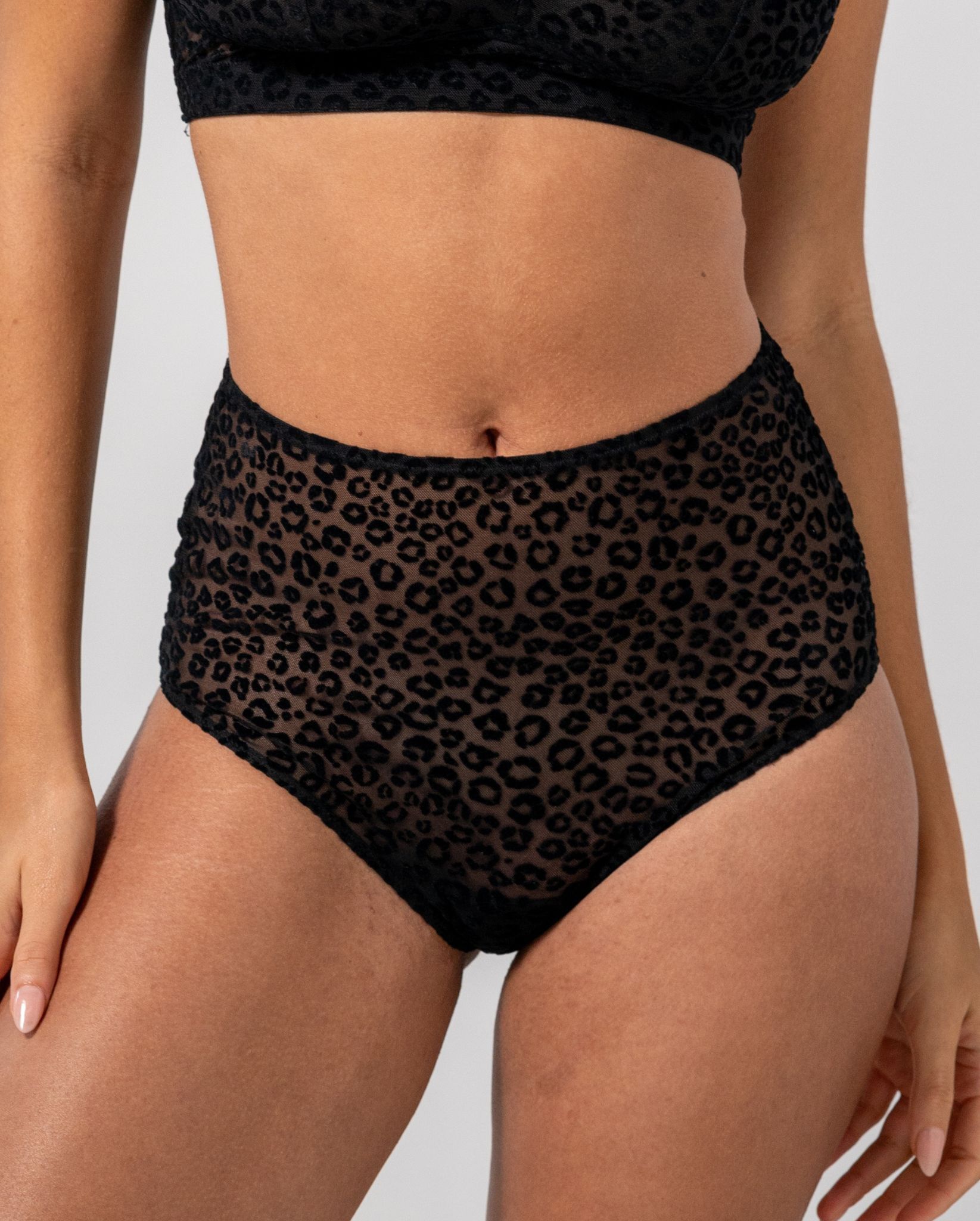 Mesh Highwaist Briefs