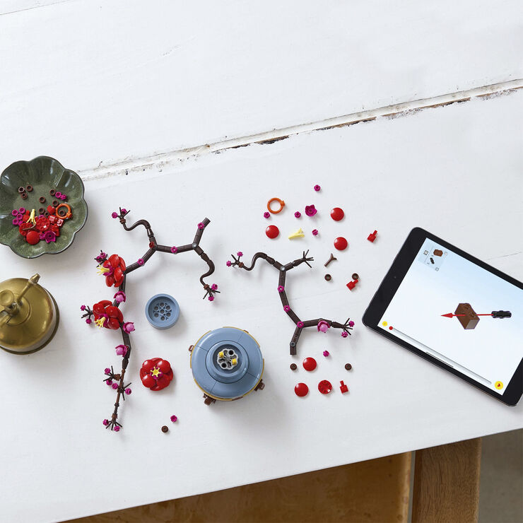 Japansk abrikostræ 10369