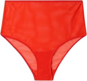 Mesh Highwaist Briefs
