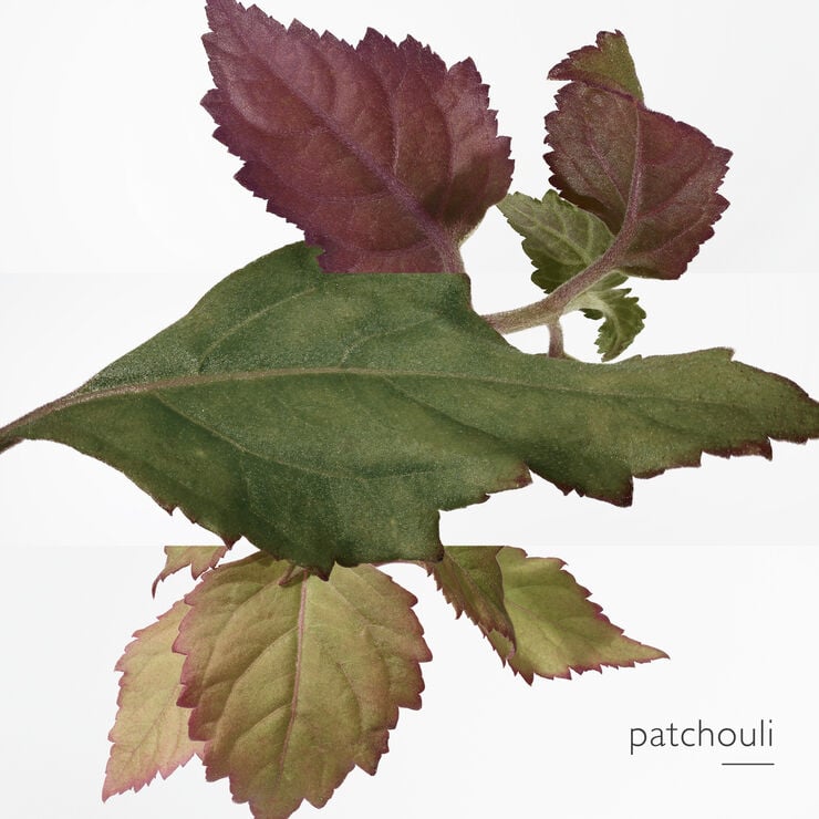 EaAU DES MAERVEILLES BLEUE, EAU DE TOILETTE