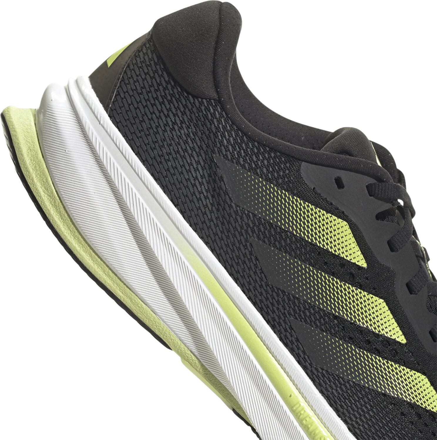 Supernova Rise L&oslash;besko