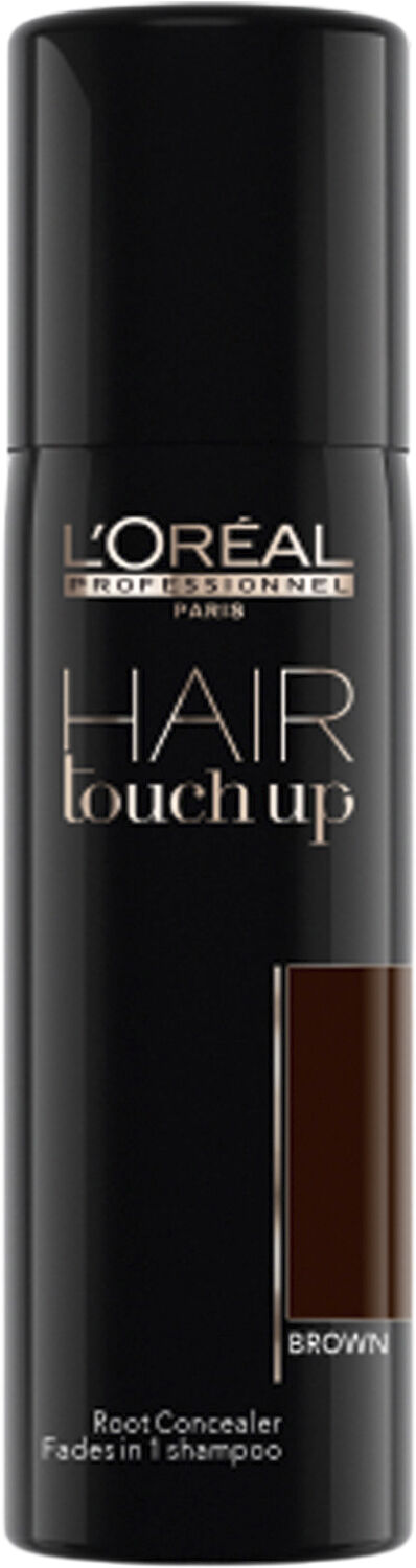 L'Or&eacute;al Professionnel Hair Touch Up Brown