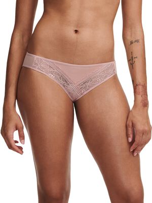 CO BO. BRIEF STD EVOLUTIVE