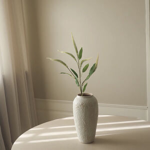 Mini Amaranthus