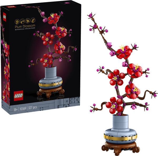 Japansk abrikostræ 10369