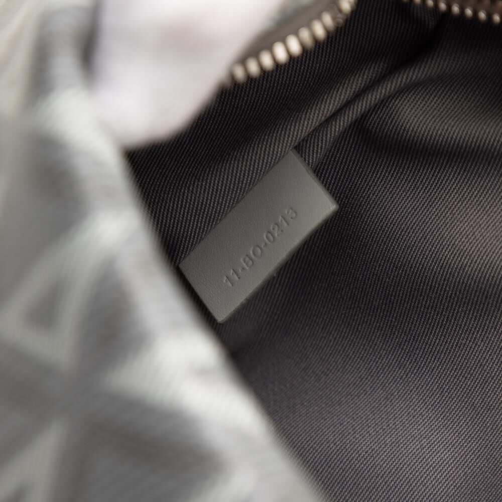 Dior Crossbody Bag