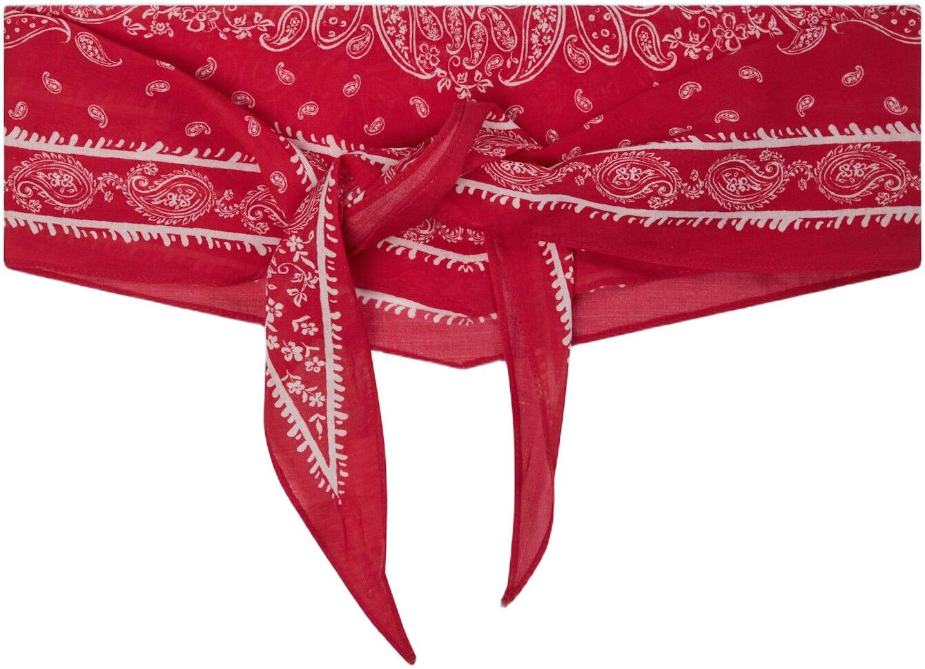 Kinessa Paisley Scarf