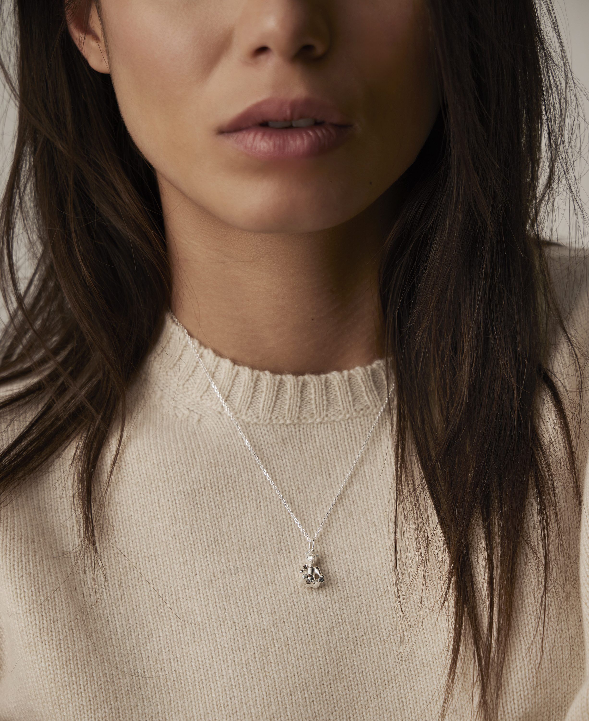 Bj&oslash;rnen i s&oslash;lv med k&aelig;de med k&aelig;de