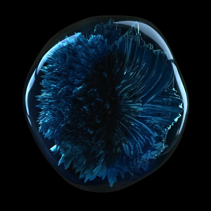 L'Oréal Professionnel Scalp Advanced Anti-Discomfort Shampoo 500ml