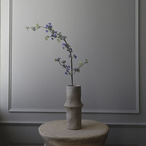 Snow Willow Branch