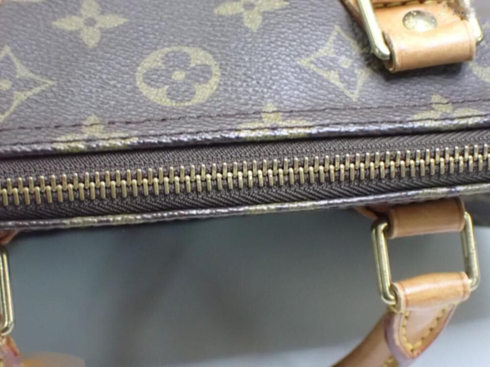 Louis Vuitton Handbag