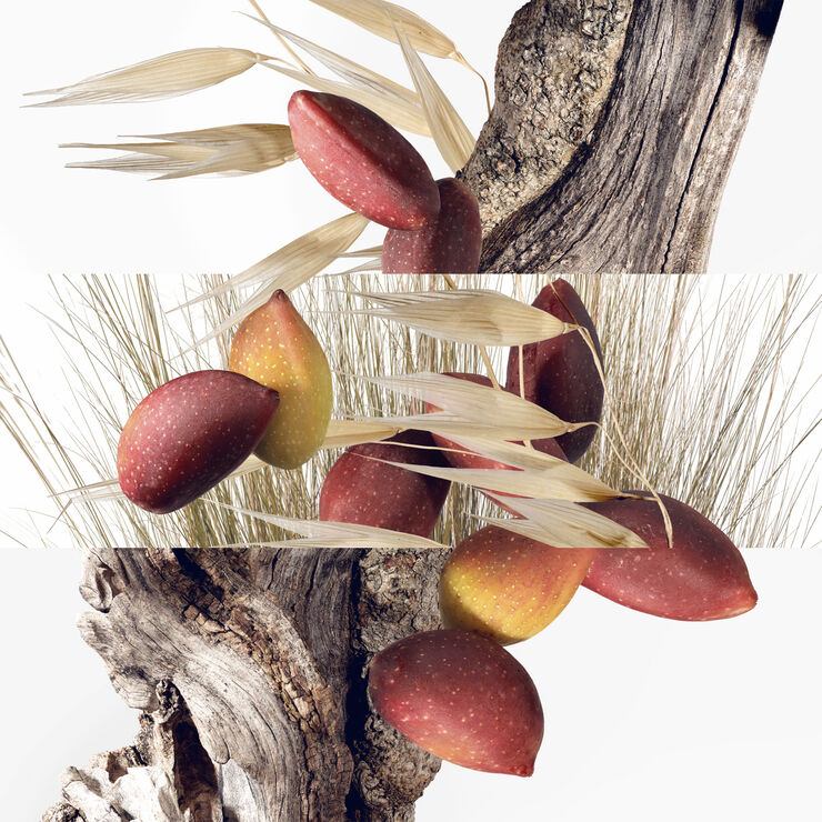 Un Jardin à Cythère Eau De Toilette 50ml