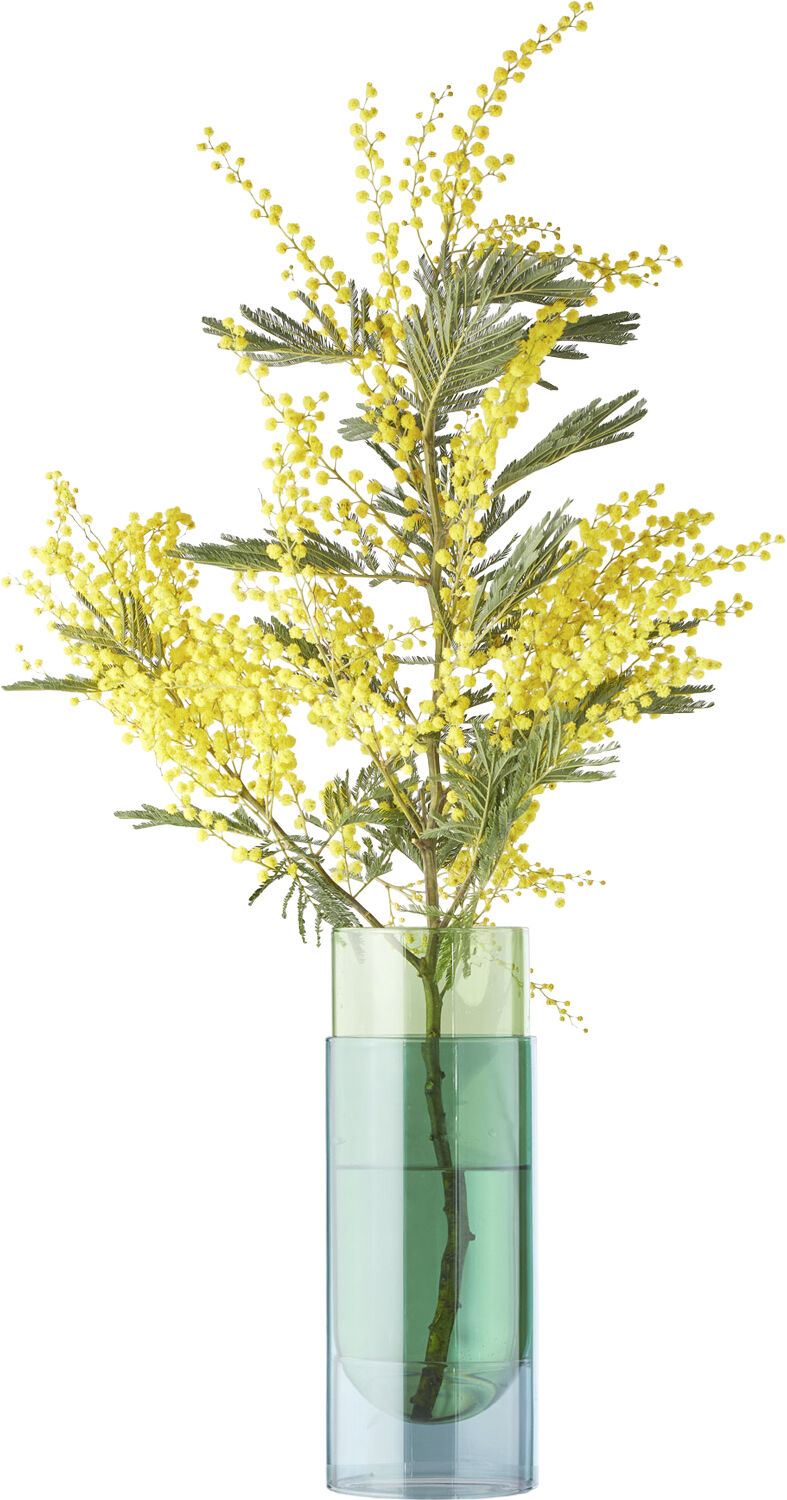 BOUQUET TUBE, LARGE, GREEN, 95270G