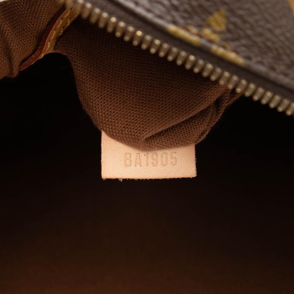 Louis Vuitton Handbag