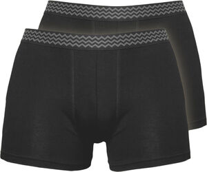 MEN’S MICROMODAL UNDERWEAR BOXERS 2-PACK