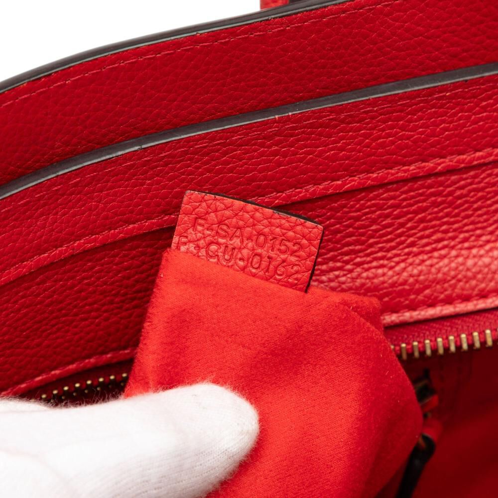 Celine Luggage
