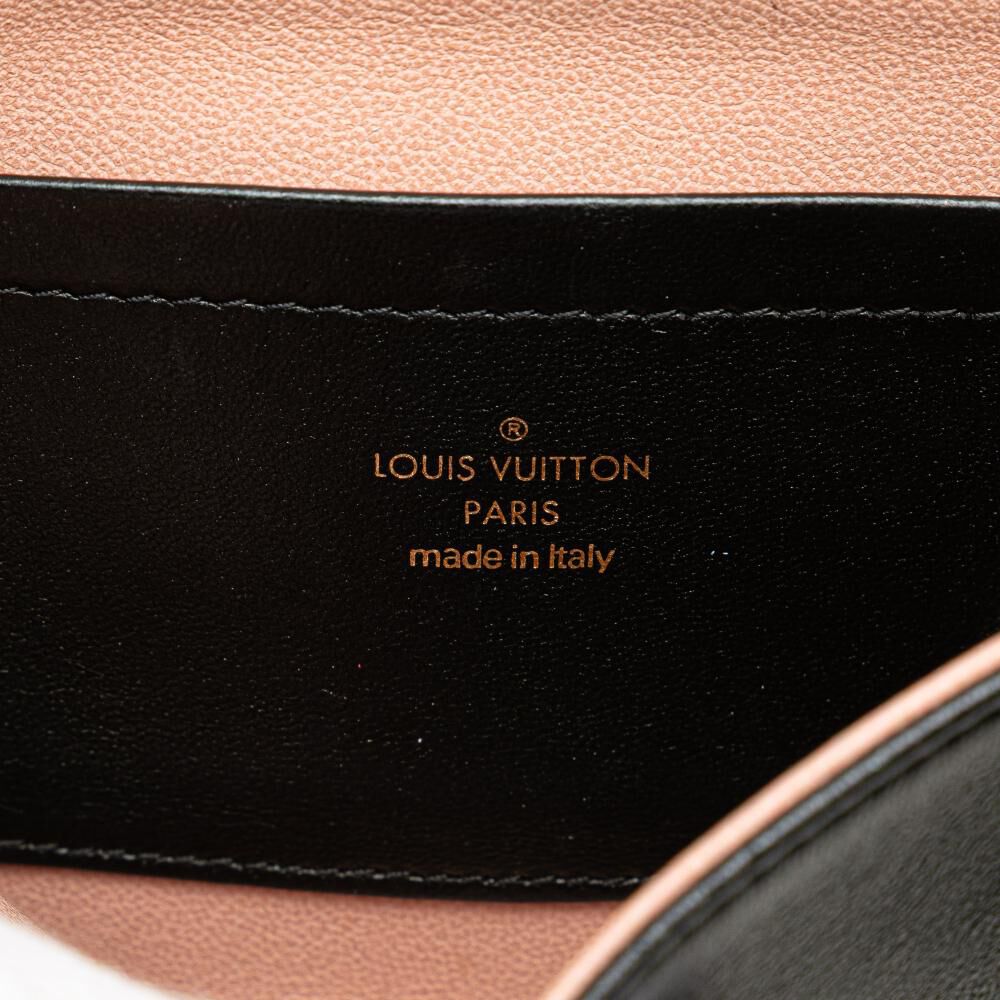 Louis Vuitton Coussin