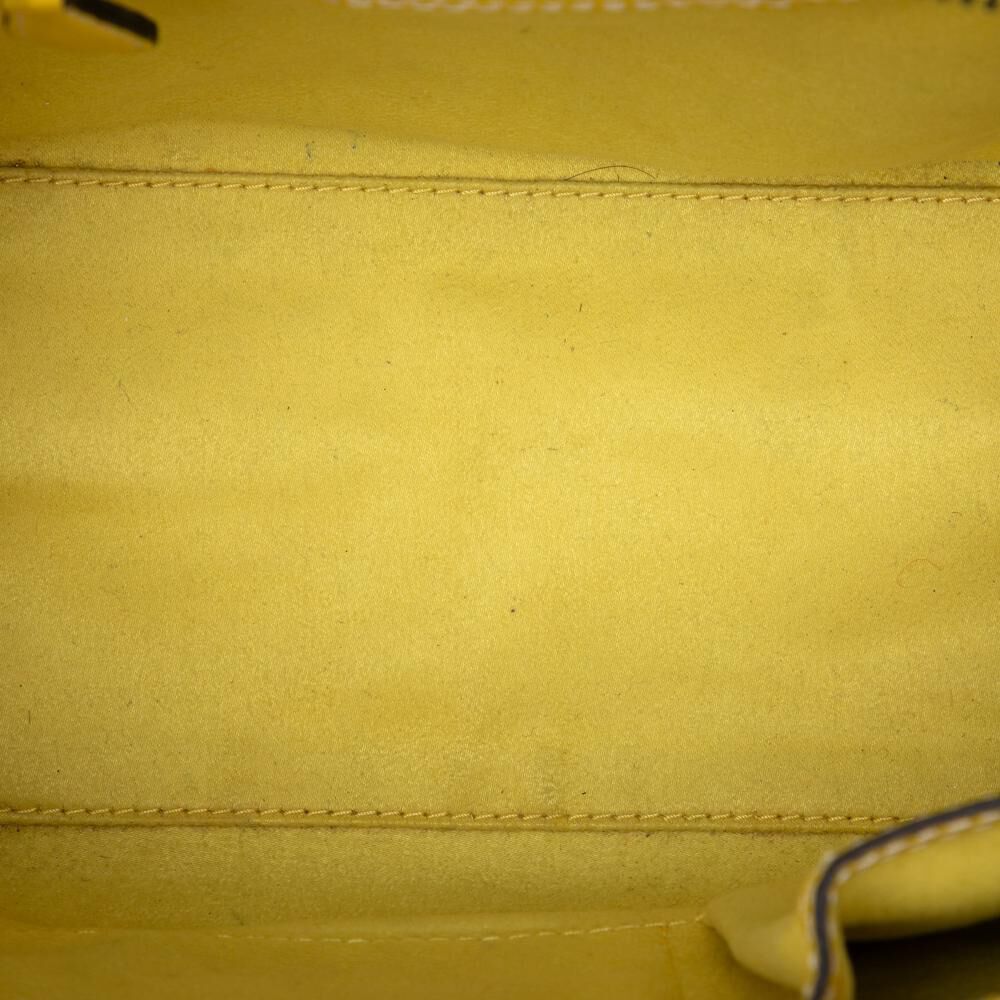 Celine Luggage