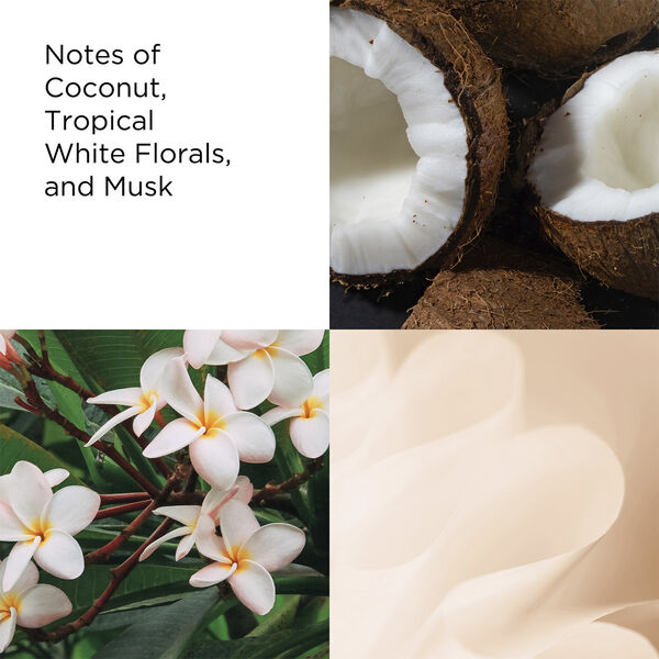 Green Tea Coconut Breeze Eau de Toilette