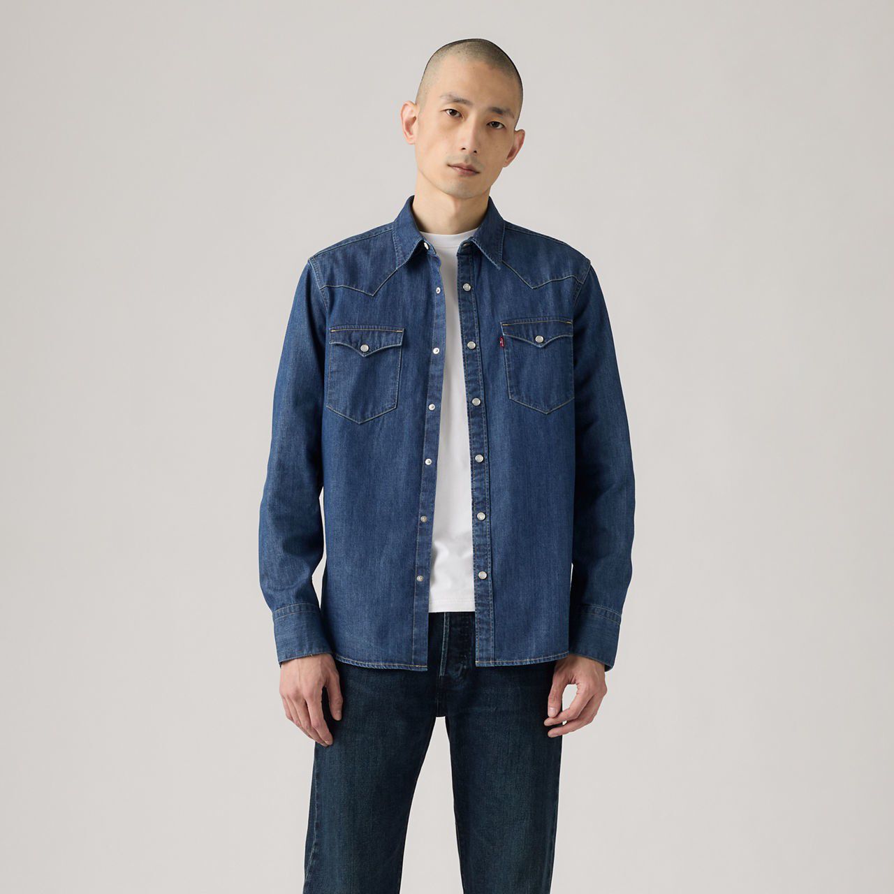 Barstow Western Standard Fit Shirt