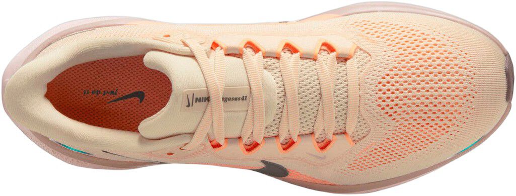 Pegasus 41 L&oslash;besko