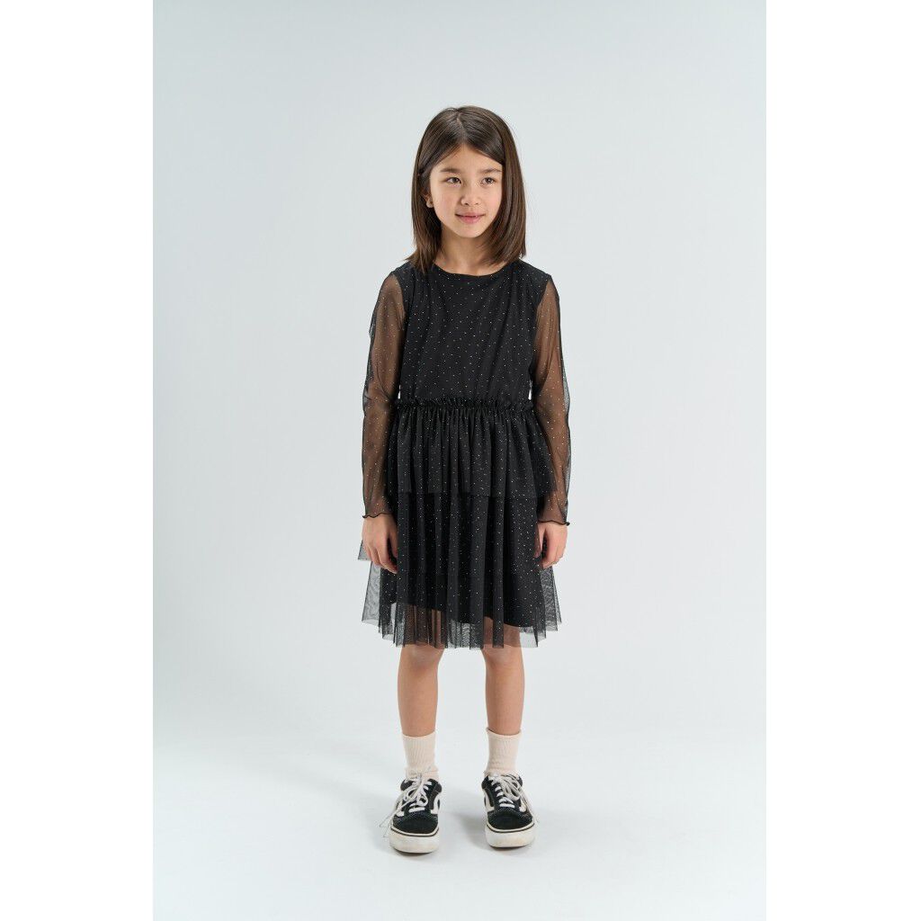 Tnyancy L_S Mesh Dress