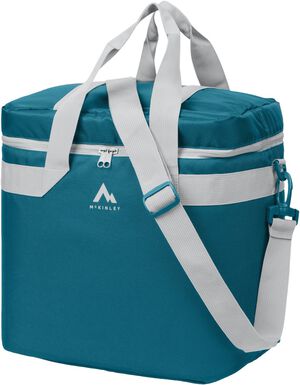 Cooler IV 25 Liter K&oslash;letaske