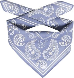 IAELOUISE SCARF