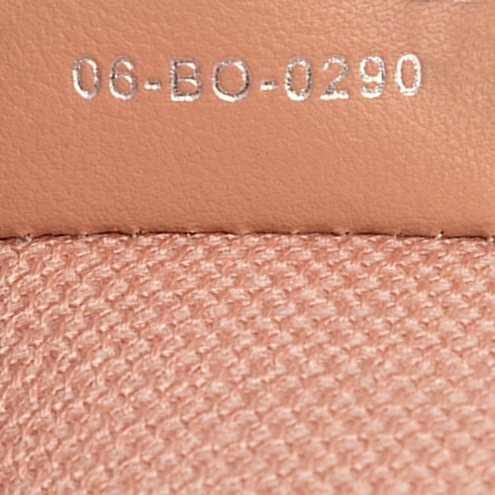 Dior Vanity Bag