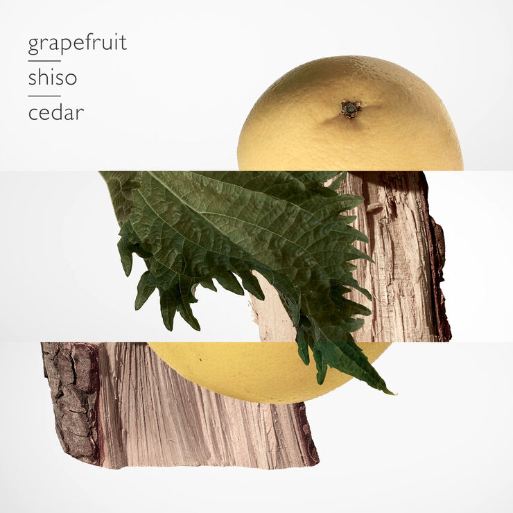 Terre d'Hermès Parfum