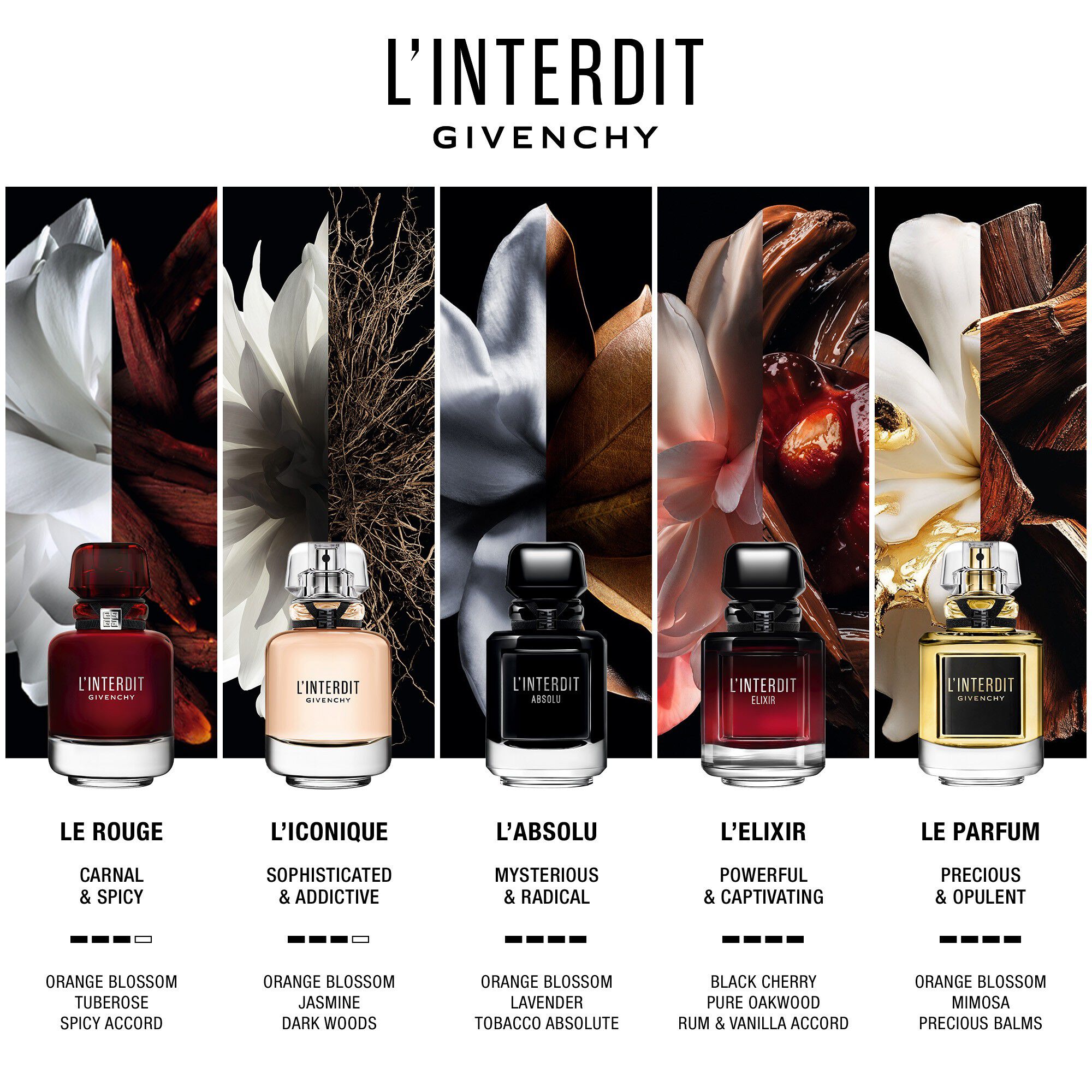 L'Interdit Elixir