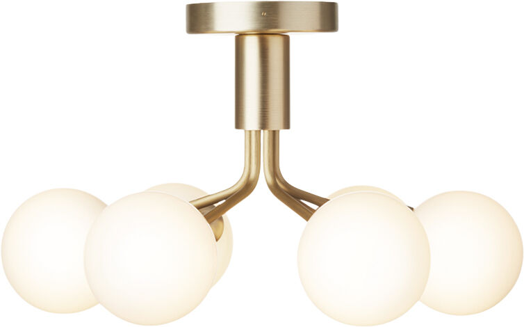 Apiales 6 Ceiling, brushed brass / opal