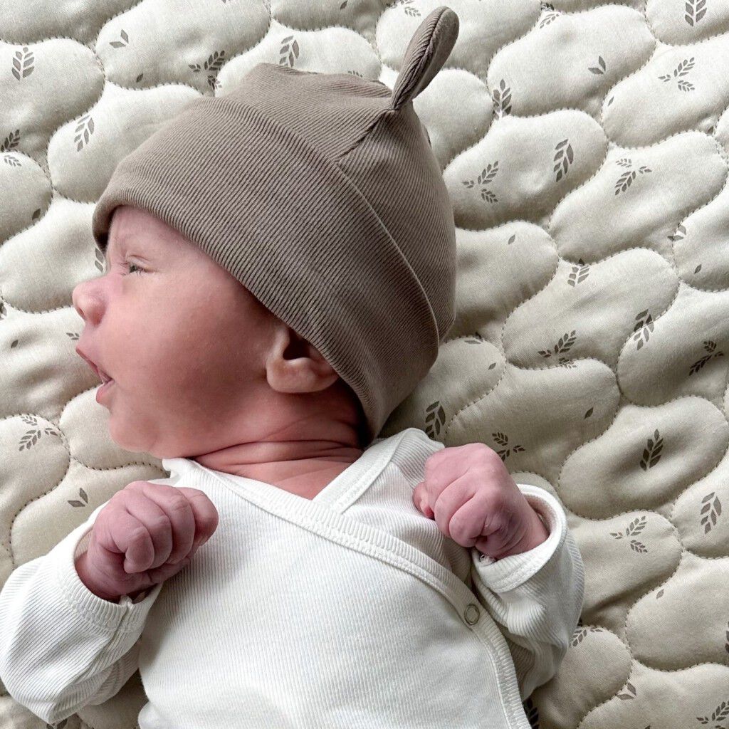 Rib bear beanie