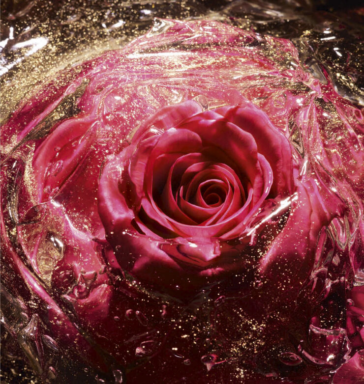 Lancôme Absolue Soft Cream 60ml