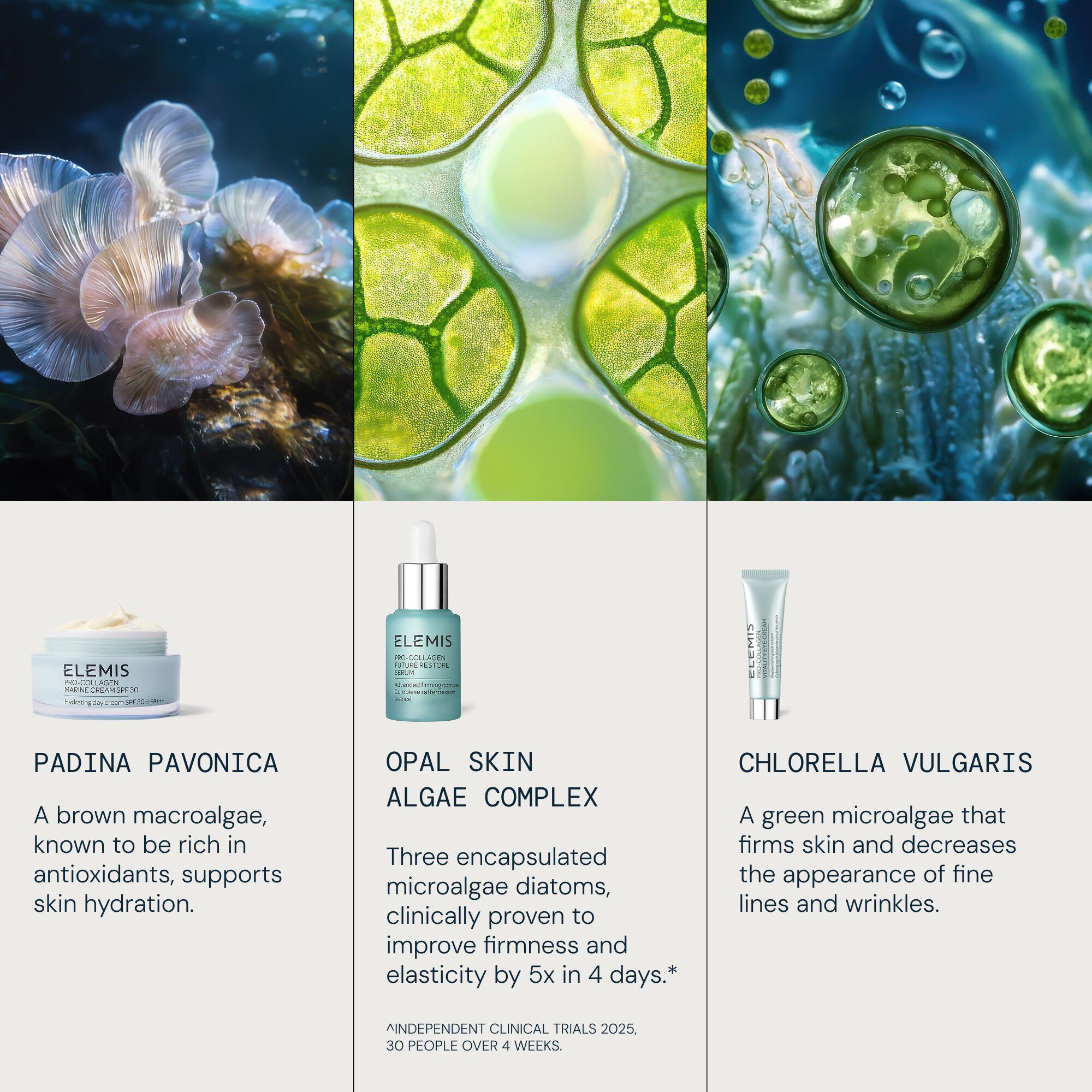 Kit Hydrating Routine Builder