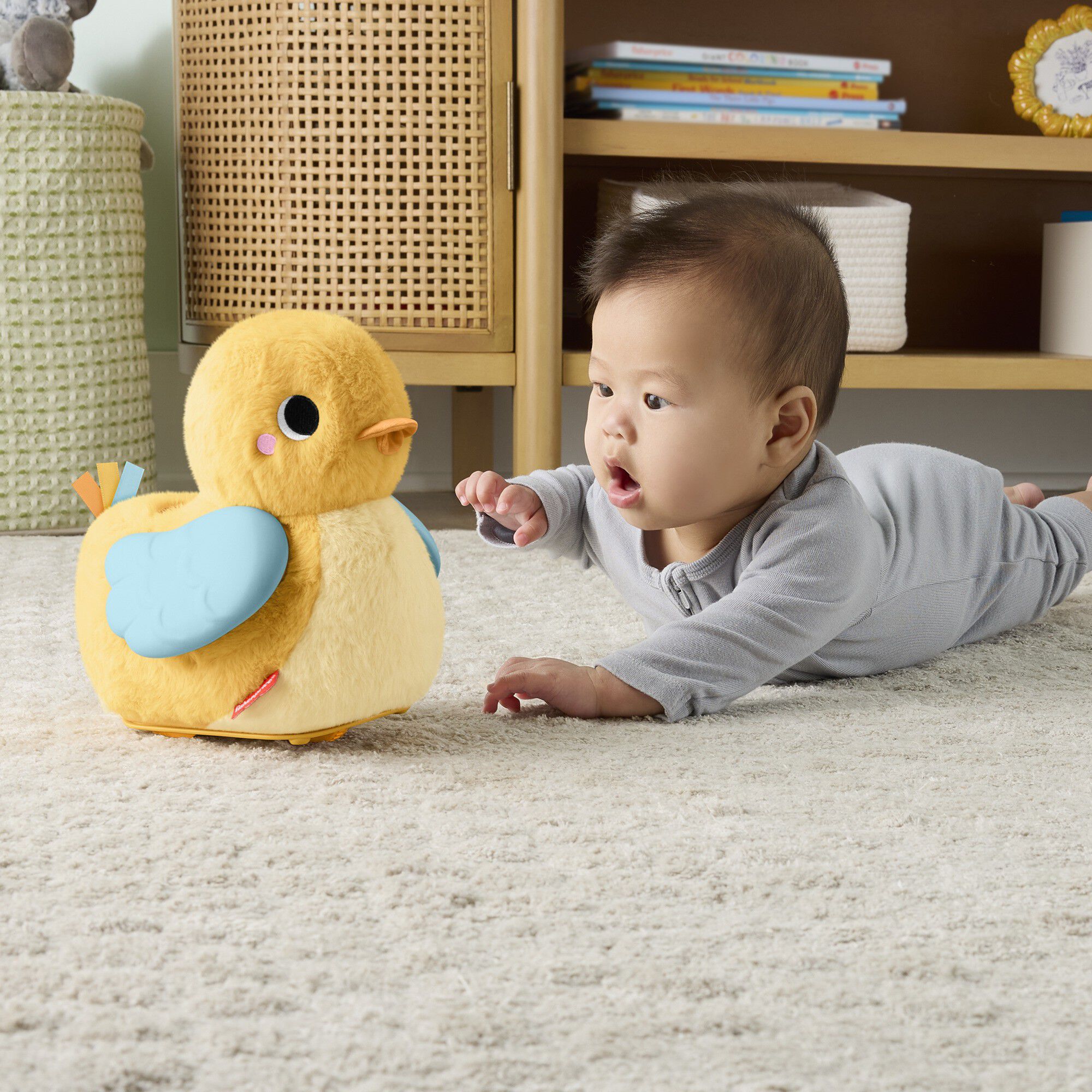 Fisher-Price Flap & Follo