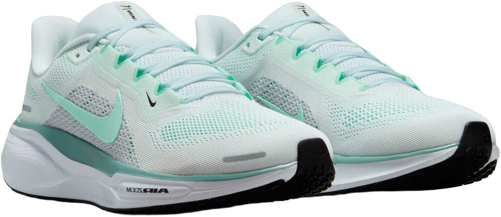 Pegasus 41 L&oslash;besko