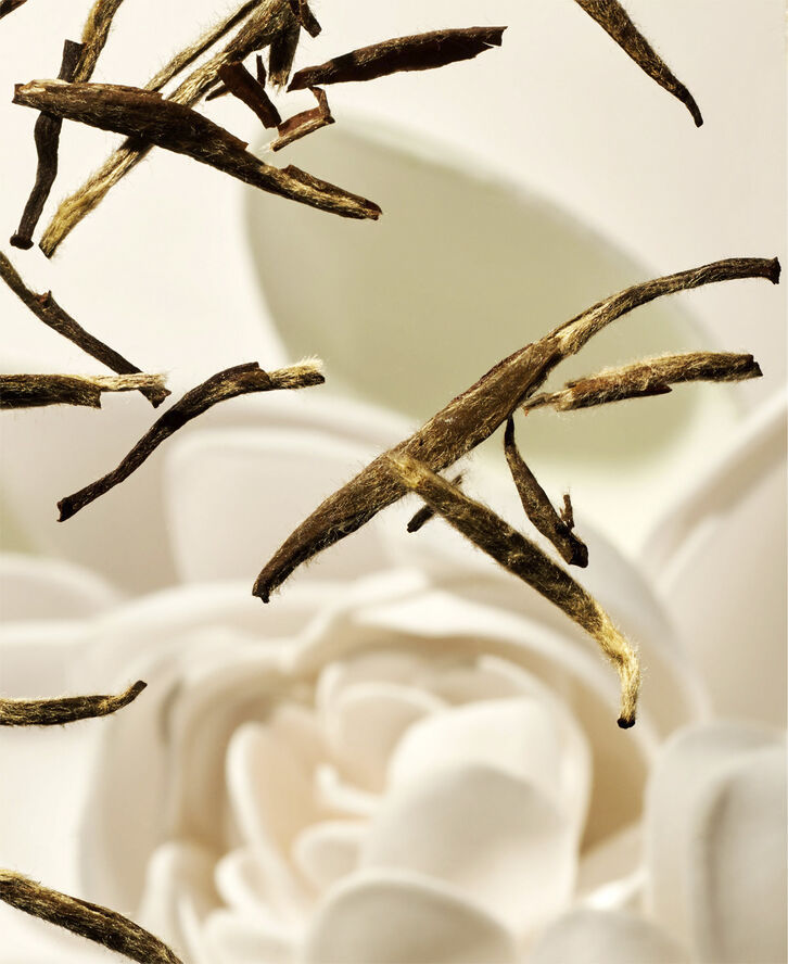 The Ritual of Karma Shampoo & Body Bar