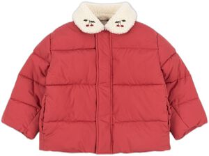 ALPI COLLAR JACKET GRS