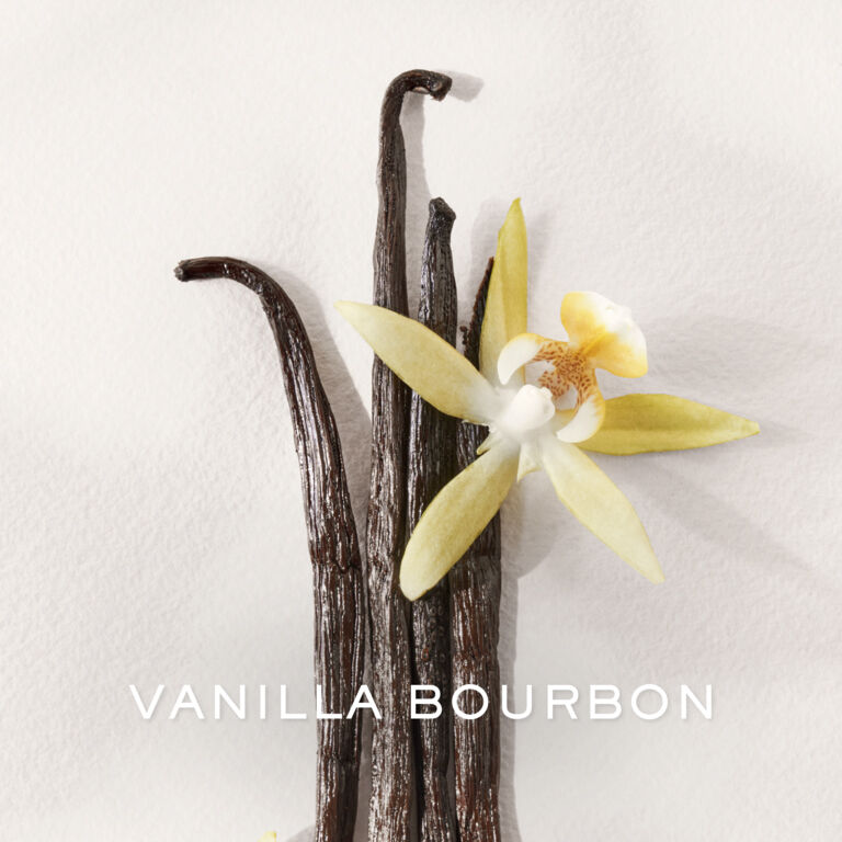 Polo Earth Antilles Vetiver Eau de Toilette