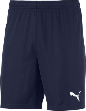 Teamgoal 23 Knit shorts