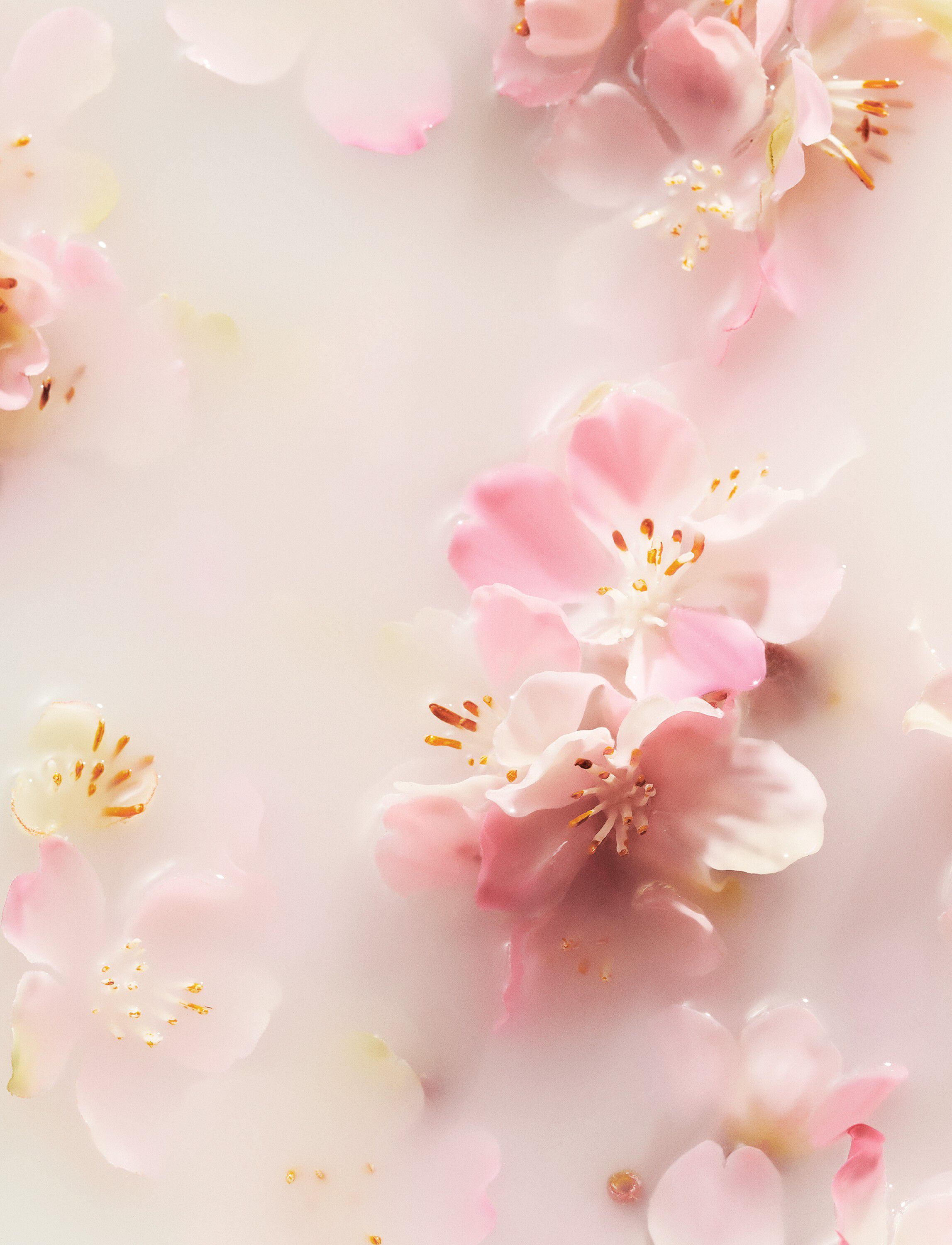 The Ritual of Sakura Hand Balm 70ml