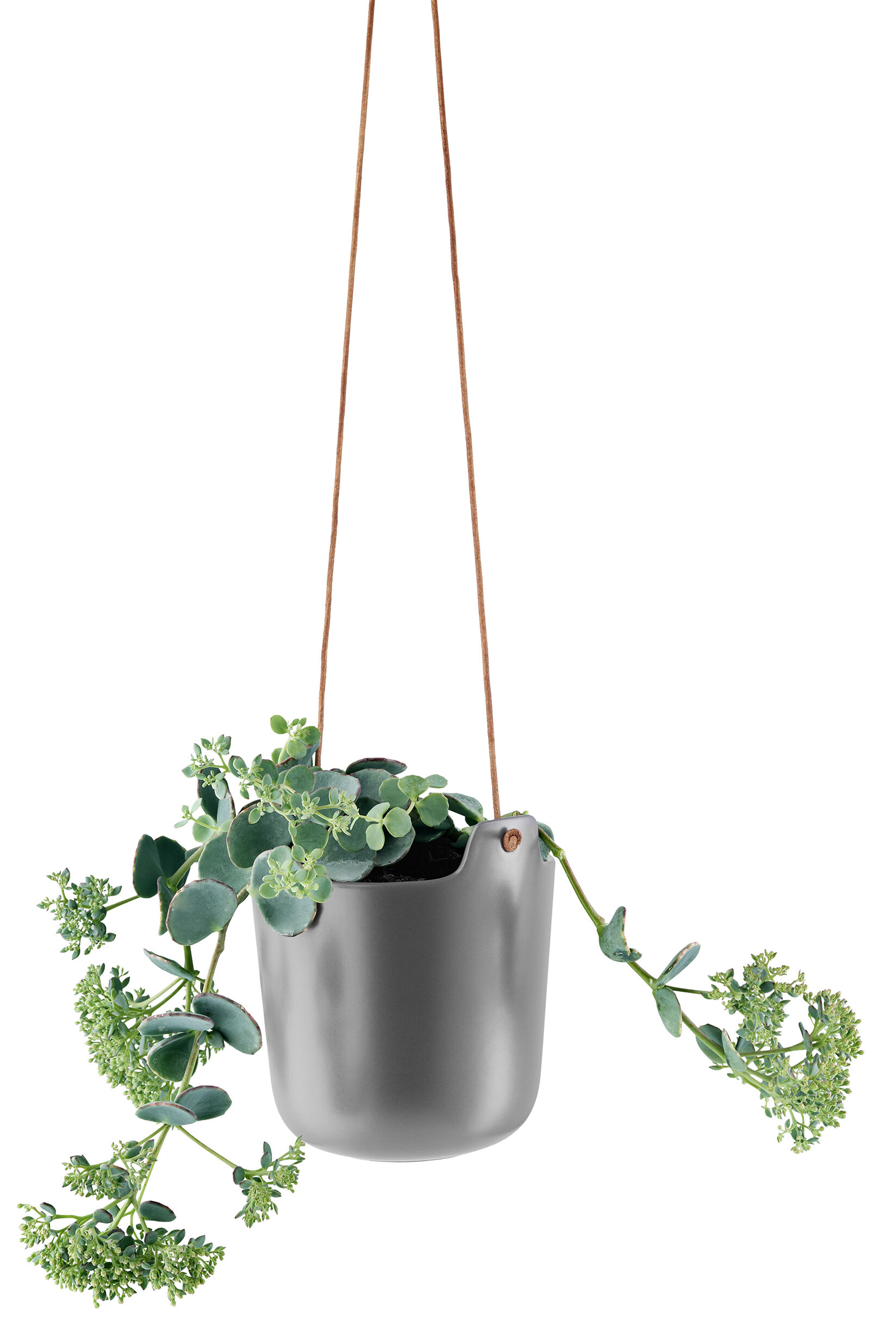 Selvvandende urtepotte