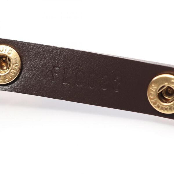 Louis Vuitton Florentine Pochette