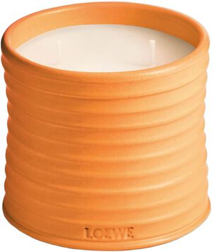 LOEWE M Orange Bloss Candle