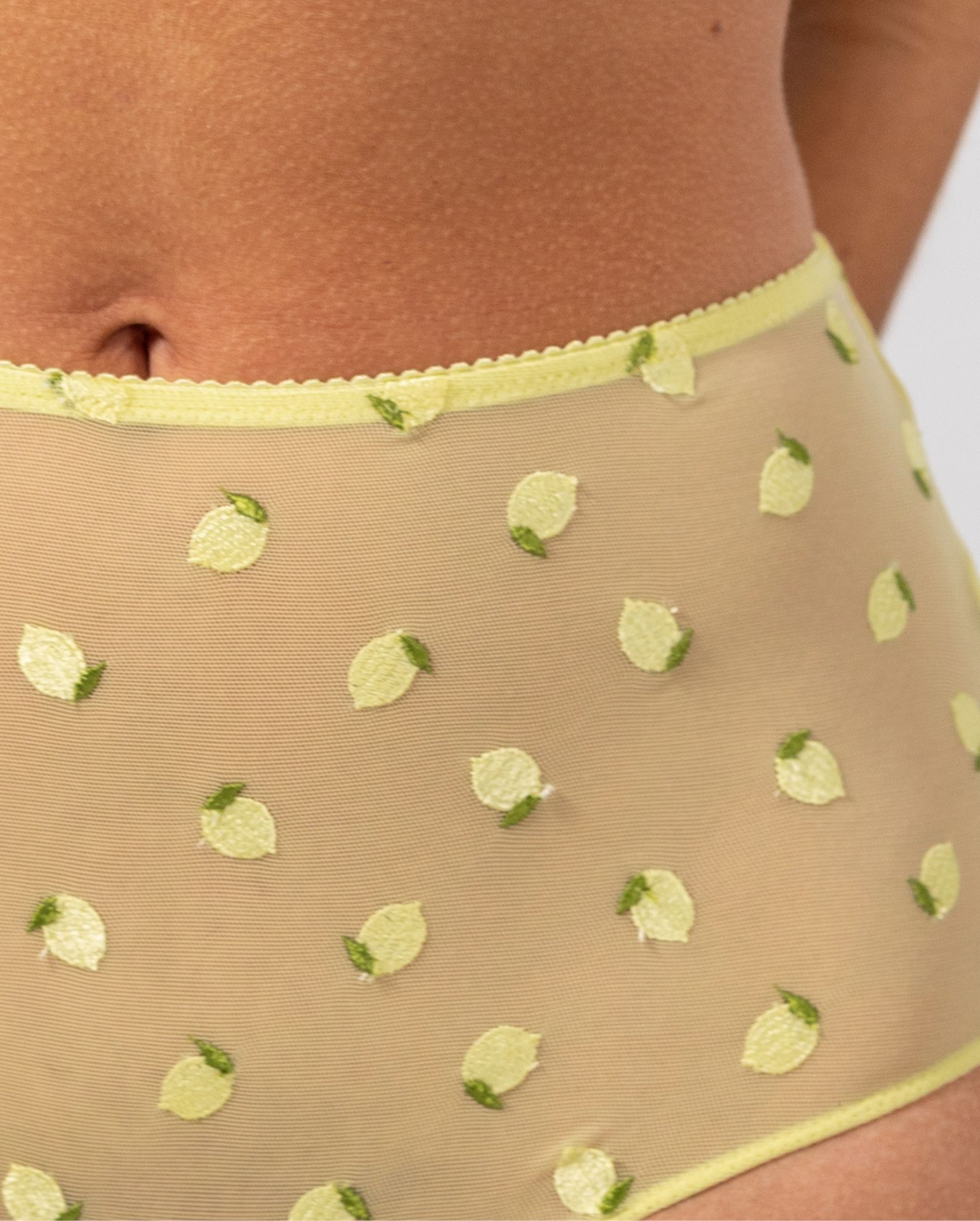 Mesh Highwaist Briefs